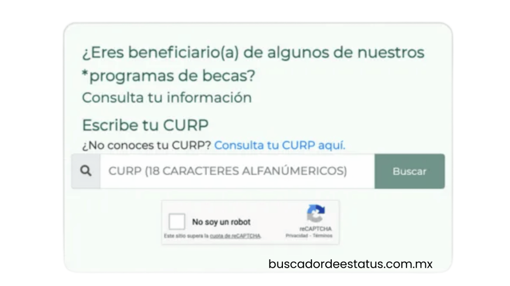 Introduce tu CURP y realiza la consulta